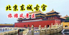 操逼大全网站中国北京-东城古宫旅游风景区